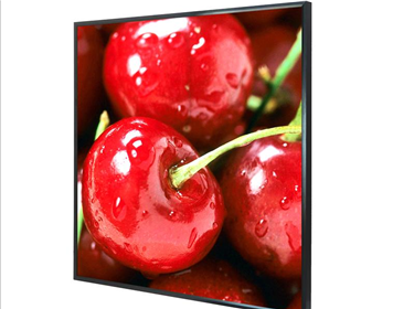 New product line 4K 29.5inch Square LCD display Monitor