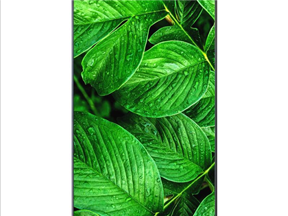 New product line 4K 43inch Square LCD display Monitor